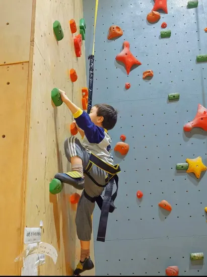 Wall-Traveling Jib Crane with Electric Chain Hoist