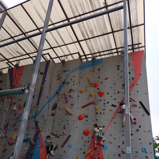 Wall-Traveling Jib Crane with Electric Chain Hoist