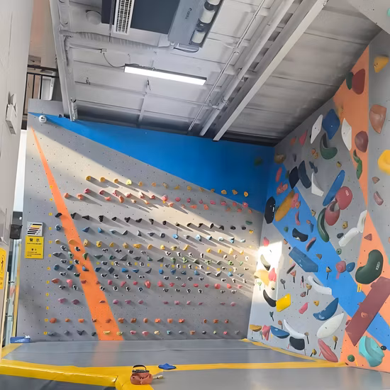 Wall-Traveling Jib Crane with Electric Chain Hoist